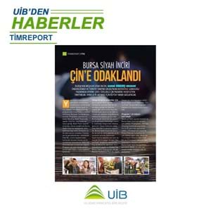 BURSA SİYAH İNCİR'İ ÇİN'E ODAKLANDI